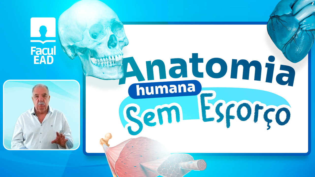 Facul.EAD e AGNC Publicidade fecham parceria frente ao SEO para impulsionar o orgânico da plataforma de ensino da saúde.